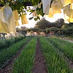 Holiday home Huertas Del Abrilongo