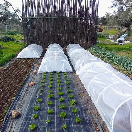 Huertas Del Abrilongo 別荘