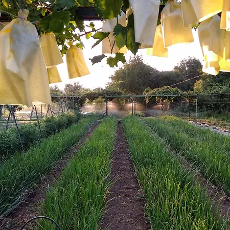 別荘 Huertas Del Abrilongo