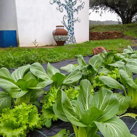 別荘 Huertas Del Abrilongo *