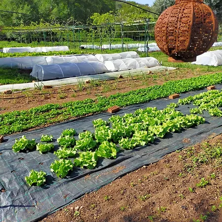 Huertas Del Abrilongo 別荘 *