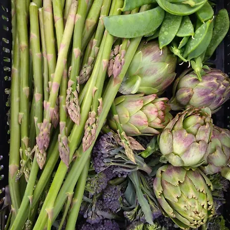 別荘 Huertas Del Abrilongo La Codosera