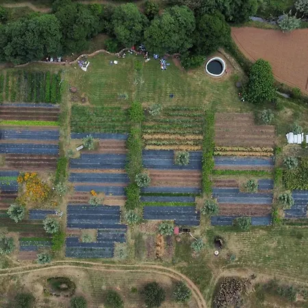 別荘 Huertas Del Abrilongo La Codosera