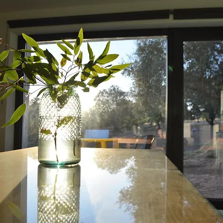 Huertas Del Abrilongo 別荘 La Codosera