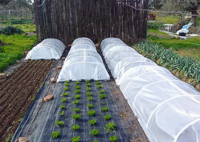 Huertas Del Abrilongo 펜션