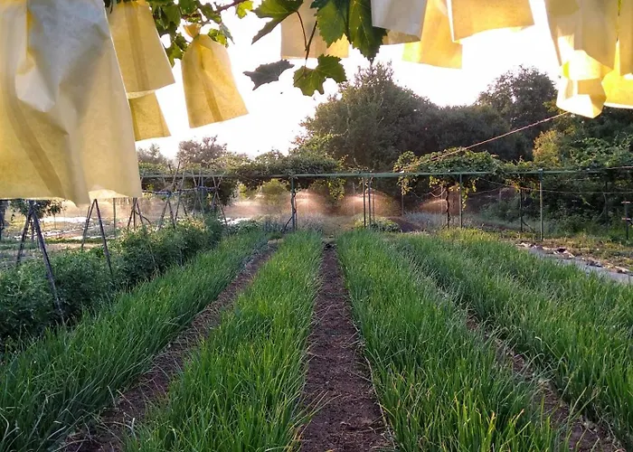 Vakantiehuis Huertas Del Abrilongo