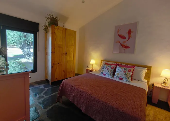 Huertas Del Abrilongo Vakantiehuis La Codosera