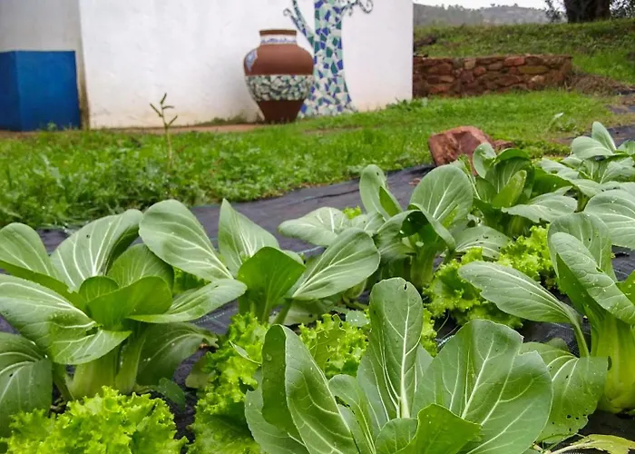 Vakantiehuis Huertas Del Abrilongo *