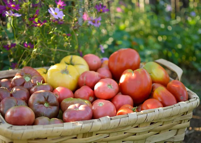 Huertas Del Abrilongo *