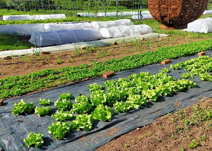 Huertas Del Abrilongo 펜션 *