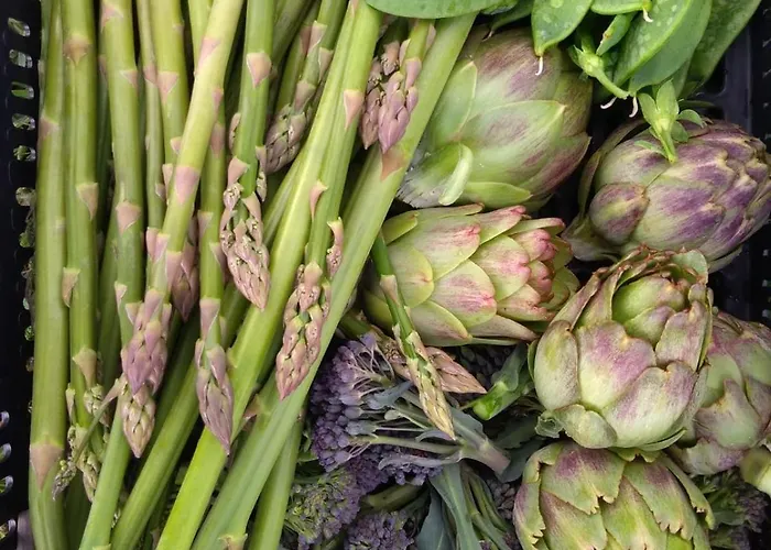 Vakantiehuis Huertas Del Abrilongo La Codosera